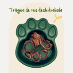 traquea (2)