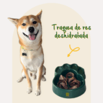 traquea (3)