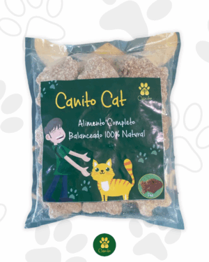 Canito Cat