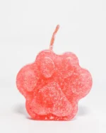 combo canitoparty cake (4)