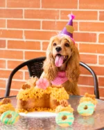 combo canitoparty cake (5)